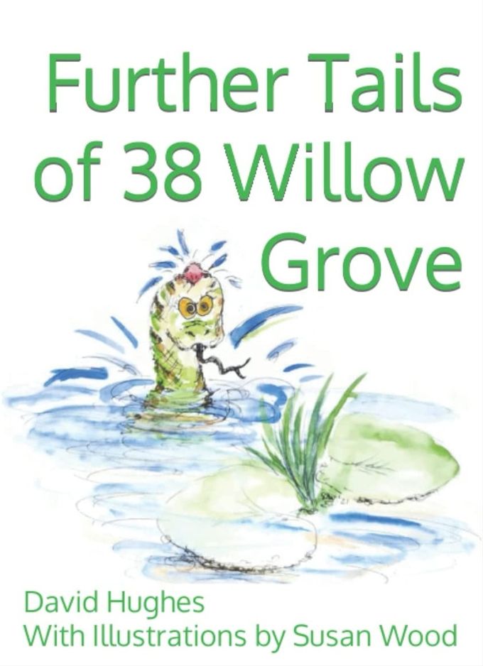 DAVID HUGHES - FURTHER TAILS OF 38 WILLOW GROVE (2021)
